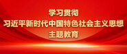 操b日B在线学习贯彻习近平新时代中国特色社会主义思想主题教育_fororder_ad-371X160(2)